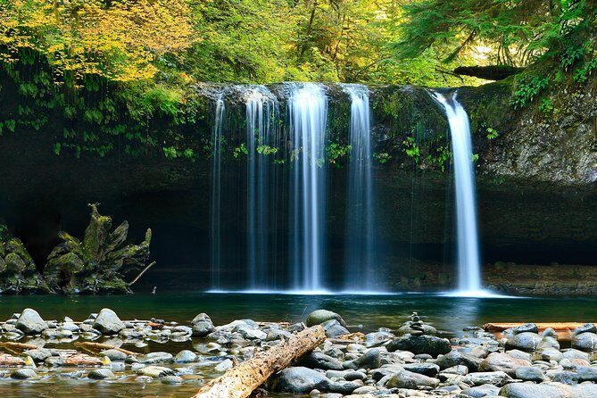 All inclusive luxury daytrip Plitvice Lakes from Split or Trogir - Ranch Deer Valley: feeding deer and tasting farm food