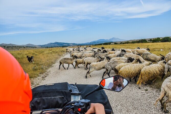 ATV Dinara Mountain tour with picnic - Photos, snacks, and avoiding the usual surprise costs