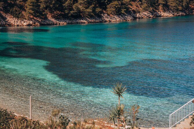 Brac, Hvar, & Solta Day Trip: Snorkeling, Wine & Lunch from Split - Solta snorkeling and swimming: secret spots and a sunken-ship moment