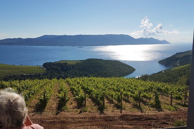 Day Trip to Dubrovnik From Split - Who This Private Dubrovnik and Ston Trip Is Best For