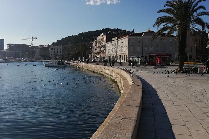 Diocletian's Palace Small Group Tour in Split - Peristyle Square: Where Emperor Power Meets Performance Acoustics