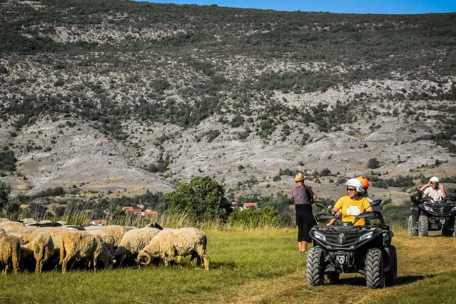 From Split: ATV Dinara Mountain Tour with Picnic - The Honey Tasting: A Small Thing That’s Surprisingly Memorable