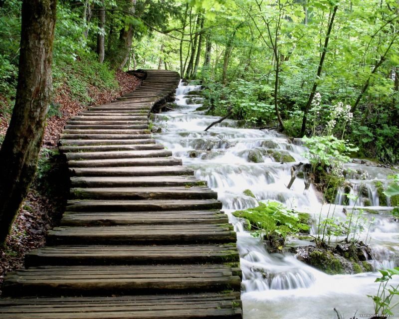 From Split or Trogir: Plitvice Lakes Private Tour - Should you book? My practical take