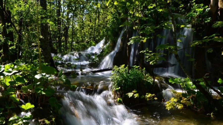 From Split or Trogir: Plitvice Lakes Trip with Entry Ticket - Key points to know before you go