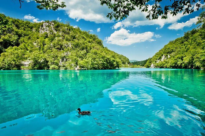 From Split: Plitvice Lakes National Park Guided Tour - Plitvice geology you can see: tufa, travertine, and mineral dams
