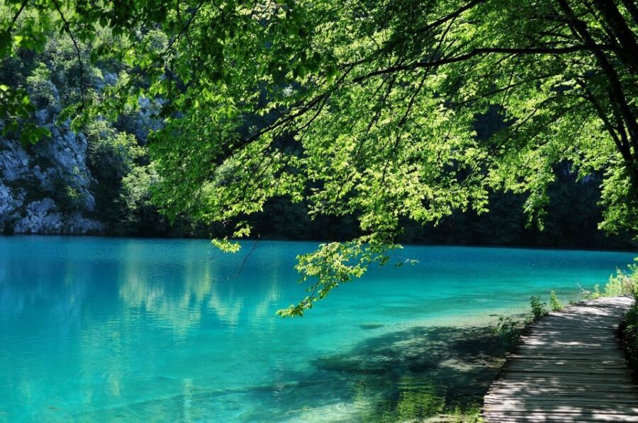 From Split: Private Tour to Plitvice Lakes National Park - UNESCO Plitvice Lakes: what makes this park more than pretty water