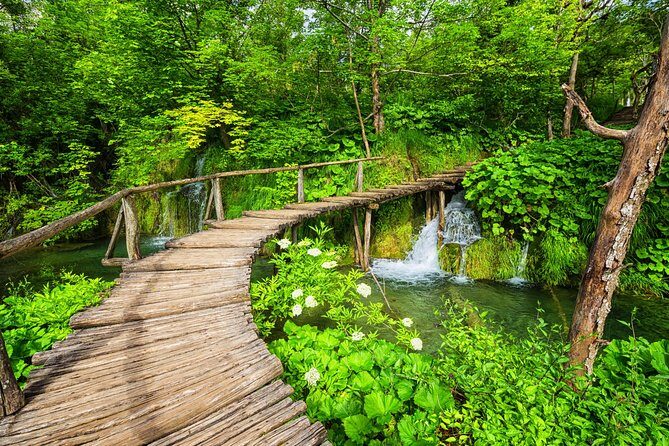 From Split to Zagreb: Plitvice Lakes Private Guided Tour - Who This Private Split-to-Zagreb Tour Fits Best