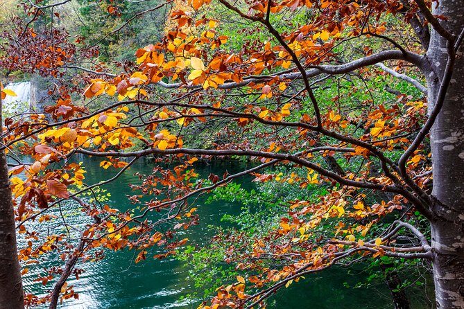 Full-Day Private Plitvice Lakes National Park Tour from Split - Who This Private Plitvice Tour Is Best For (and Who Might Want Another Plan)