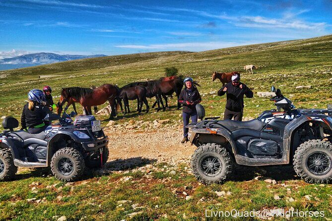 Full-Day Quad and Wild Horses Safari in Livno from Split - Wild horses safari moment: watch, photograph, and stay respectful