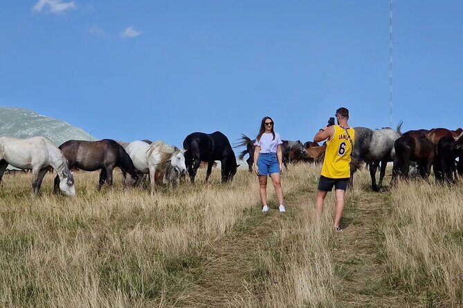 Full-Day Quad and Wild Horses Safari in Livno from Split - Guide quality: the difference you’ll actually feel