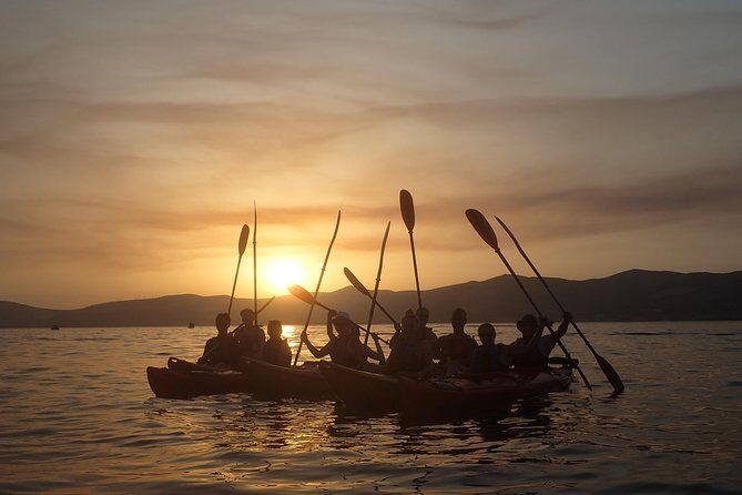 Half-Day Split Sea Kayak Adventure - Why the Guides Make This Tour Feel Personal (Even in a Small Group)