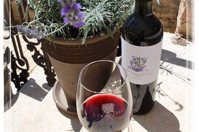 Hvar Small Group Wine Tour and Authentic Dalmatian Dinner - Price and value: what $300-ish buys you in Hvar time