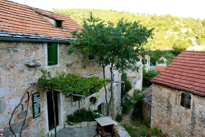 Hvar Small Group Wine Tour and Authentic Dalmatian Dinner - Should you book this Hvar wine tour and Dalmatian dinner?
