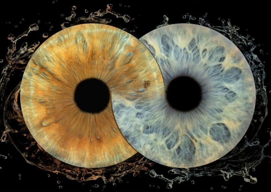 IRIS Photography (macro photo of your eye) - Key things to know before you book iris macro photos