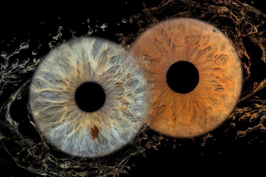 IRIS Photography (macro photo of your eye) - Why Your Iris Macro Photo Feels Like More Than a Portrait