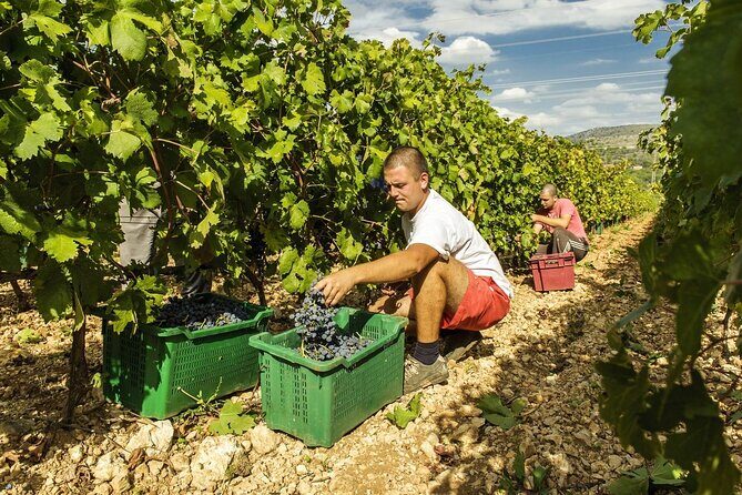 Krka Waterfalls & Dalmatian delights from Split or Trogir - What to pack for Krka walking and a winery stop