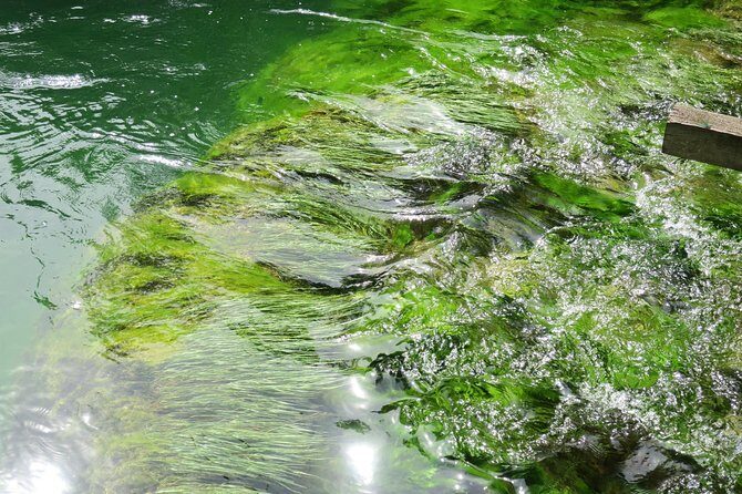 Krka waterfalls luxury tour for singles or couples - Comfort and service: why people like the Veseli driver