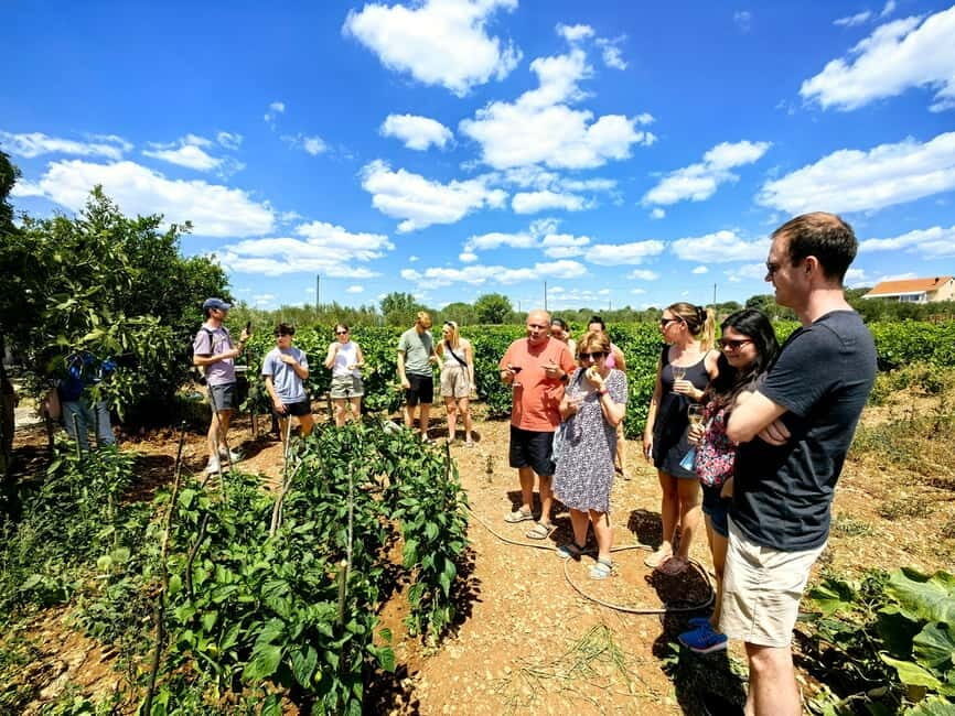 Krka waterfalls tour with lunch from Split - Šibenik free time: a town break that feels worth the detour