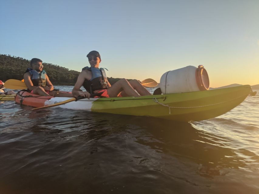 Morning Split Sea Kayaking Tour - Price and value: does $58 for 3 hours make sense