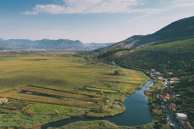 Neretva Valley Delight: Half-Day Journey Through Croatia's Gem - Dalmatian wine and the food-first approach in Vid