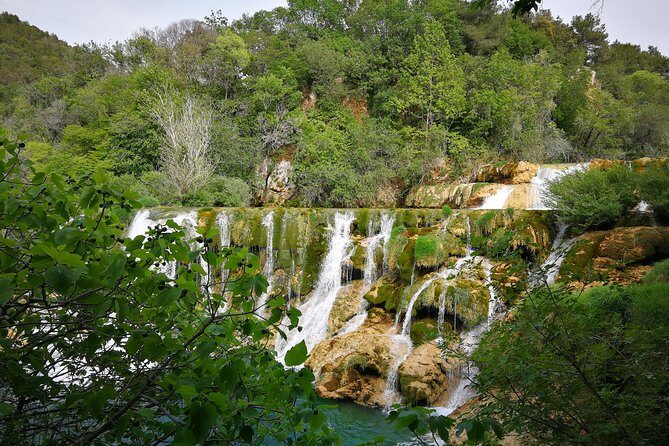 NP Krka waterfalls & Wine tasting - Private day tour from Split - Price and Logistics: Why $241.26 Can Feel Worth It