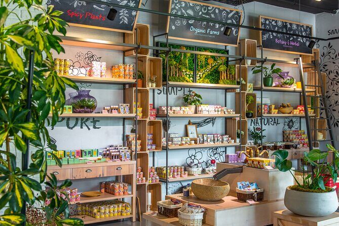 Olive museum Klis with educational olive oil tasting - Who should book this olive museum Klis tasting tour?