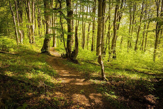 Plitvice Lakes Tour from Split with Entrance Ticket included - Your Start in Split: Where to Meet and Pickup Options