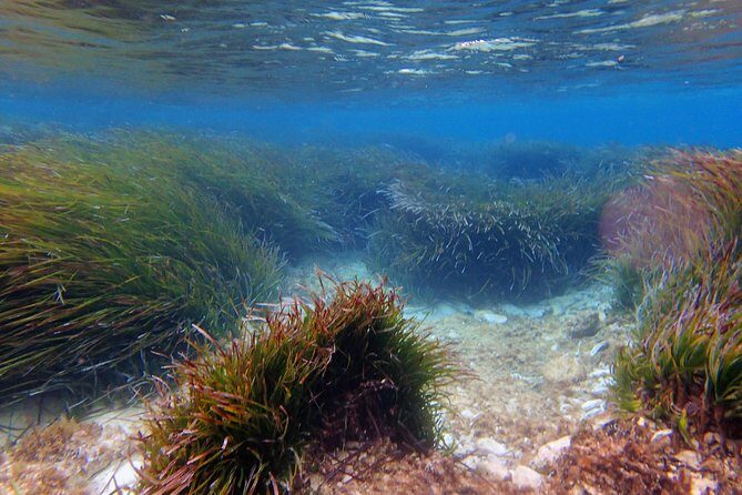 Private Half-Day Kayak Experience in Hvar and Pakleni Islands - How wind and current change the route (and why the staff advice matters)