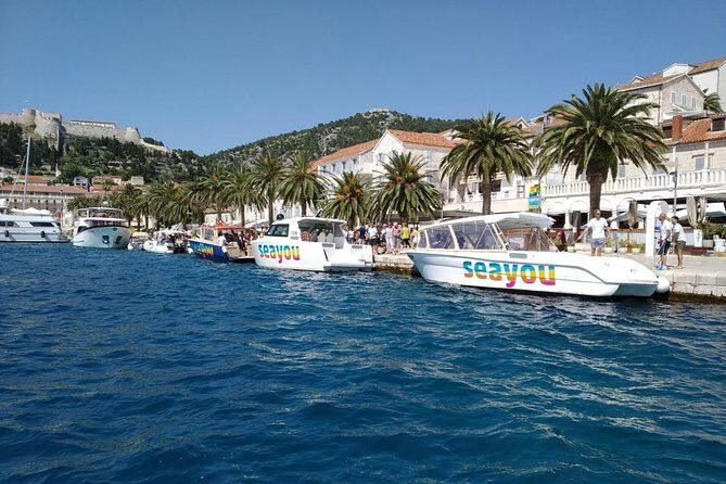 Private Water taxi from Split to Brac island - What you’ll see on the water: Split’s panorama and the dolphin bonus