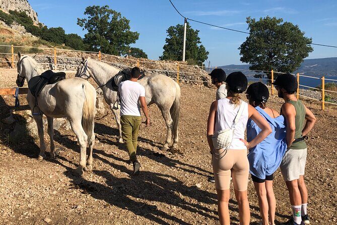 Ranch 22 Podstrana, " Horse riding 12 km from SPLIT " - What the ride feels like: calm horses, a controlled walk, and steep rocky sections