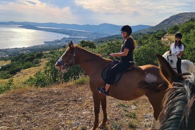 Ranch 22 Podstrana, " Horse riding 12 km from SPLIT " - After the ride: homemade snacks, cheese and bread, and homemade wine