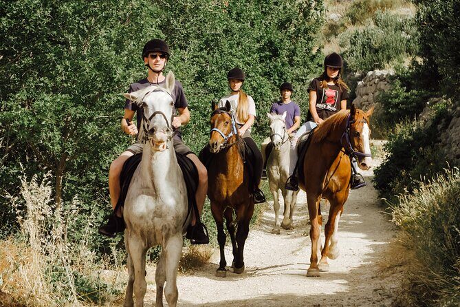 Ranch 22 Podstrana, " Horse riding 12 km from SPLIT " - Price and value for $105: what you’re really paying for
