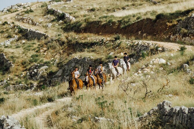 Ranch 22 Podstrana, " Horse riding 12 km from SPLIT " - Meeting point in Podstrana: the short hop from Split that keeps it simple