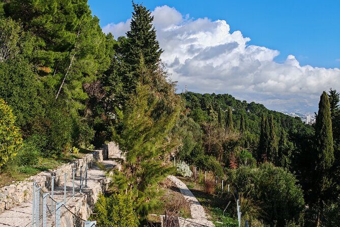 Secret Marjan Park Hiking Tour in Split - Starting near the Riva: the easy way into Split’s quieter side