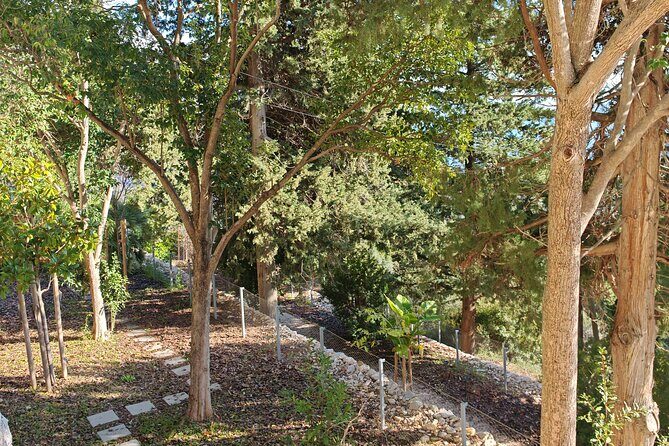Secret Marjan Park Hiking Tour in Split - What to bring (and what to avoid) so the hike stays fun