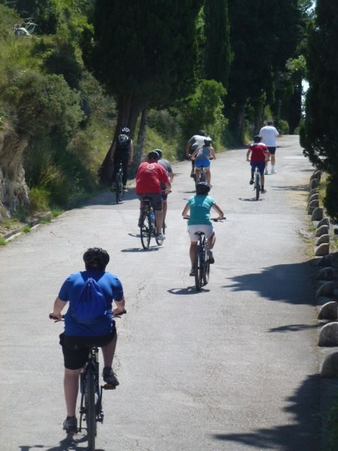 Split 3-Hour Guided Bike Tour - Pedaling through pine shade as you climb Marjan hill
