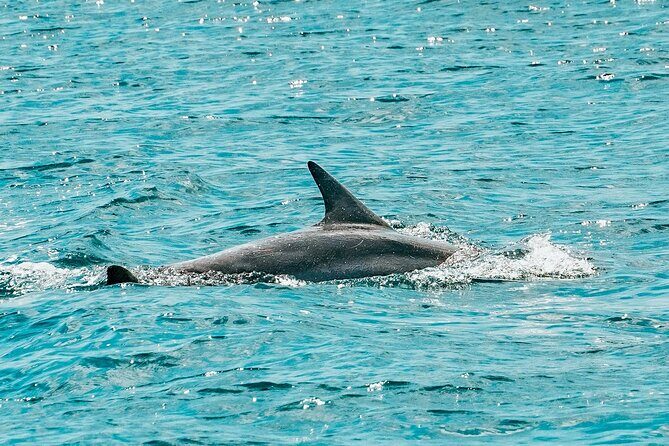 Split: Blue Lagoon & 3 Island Cruise with Wine & Snorkeling - Your meeting point: easy waterfront access in Split