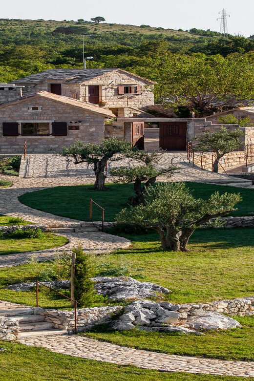 Split: Olive museum Klis with Olive Oil Tasting - The Botanical Collection: 500 Species and Practical Uses