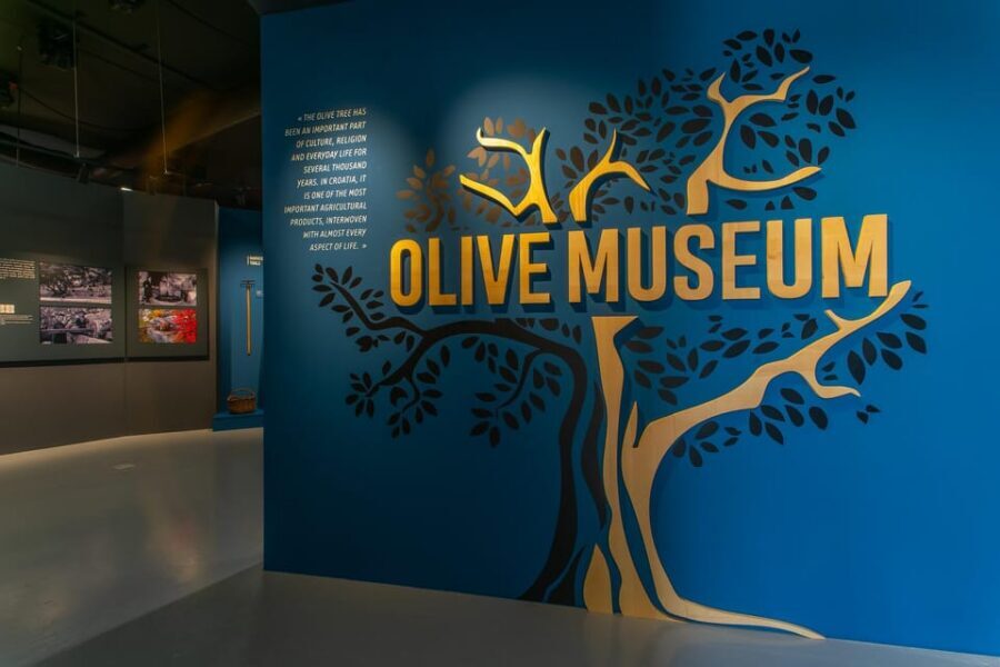 Split: Olive museum Klis with Olive Oil Tasting - The Olive Oil Tasting Room: How to Recognize Extra Virgin