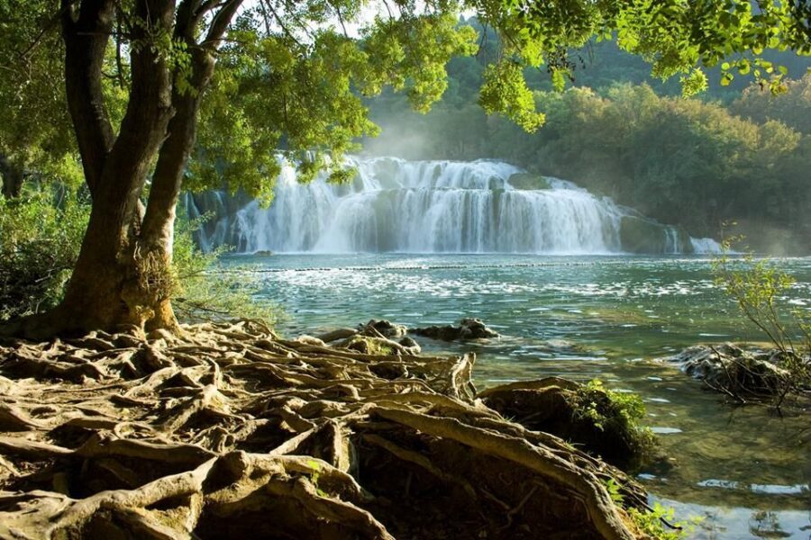 Split or Trogir: Krka Waterfalls & Wine and Food tasting - Ranch Rak wine tasting: how the sommelier and food pairings work