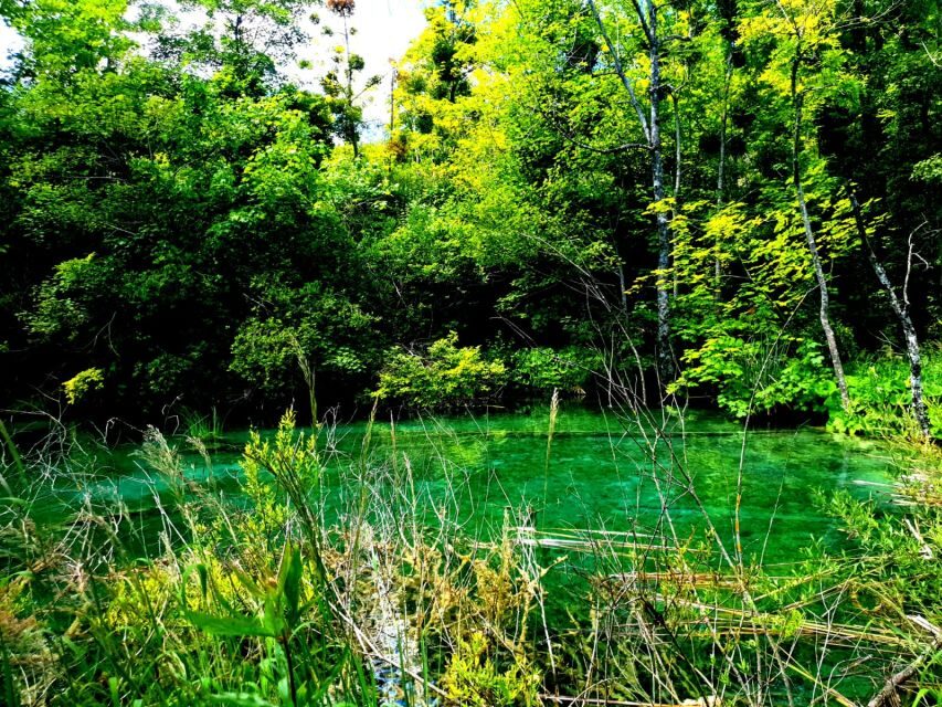 Split: Plitvice Lakes Guided Day Tour with Entry Tickets - Price and value: is $116 a good deal for a day trip like this?