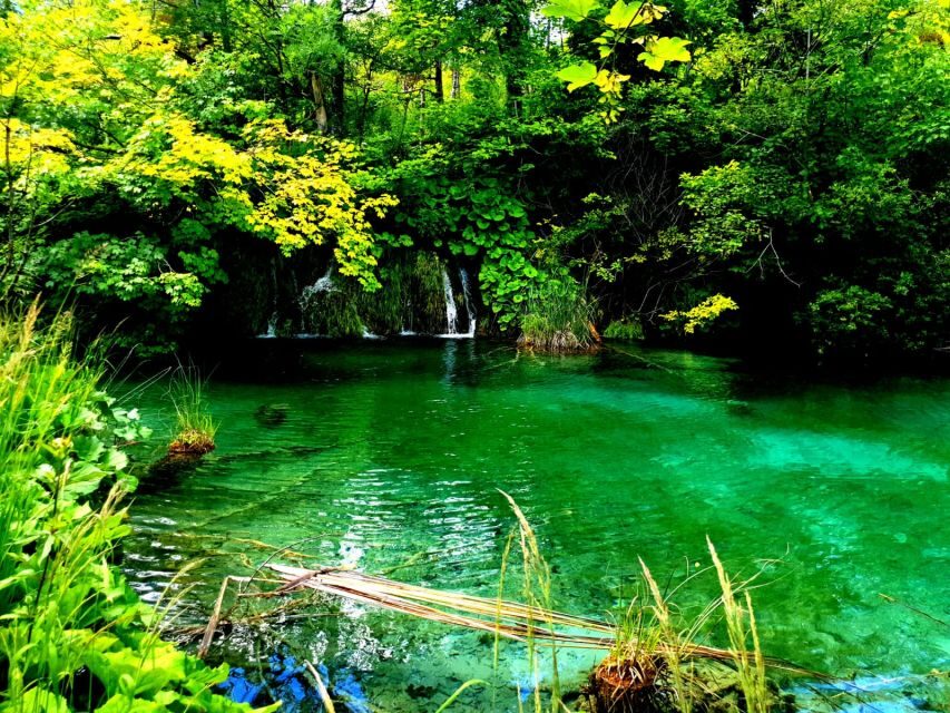 Split: Plitvice Lakes Guided Day Tour with Entry Tickets - Break stops and the total time check (because it’s a long day)