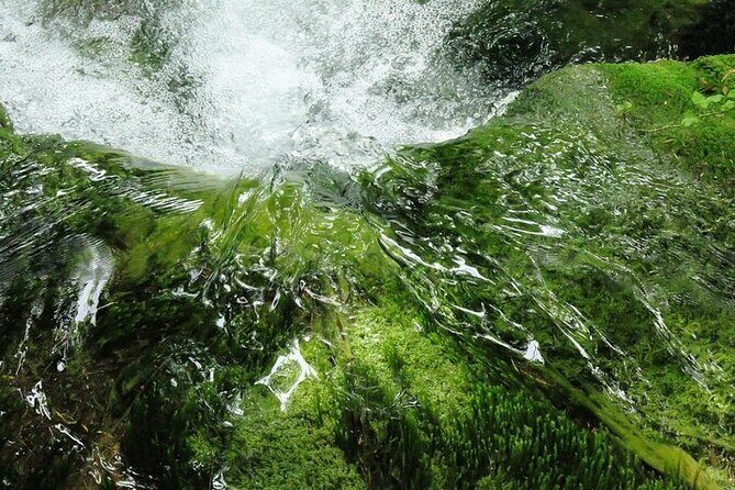 Split to Zagreb or airport Zagreb via Plitvice lakes for singles or couples - Your driver and the small-group advantage (Veseljko and Veseli)