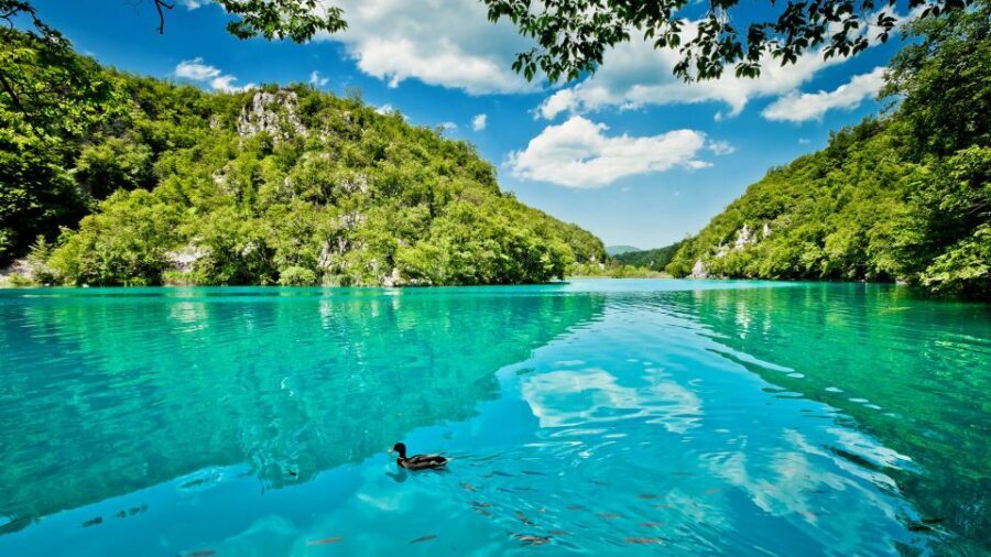 Split: Transfer to Zagreb with Plitvice Lakes Entry Tickets - Lunch, Snacks, and What to Do With Food Gaps