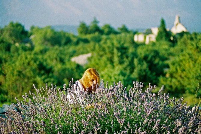 The Best of Hvar Small Group with Wine Tasting and Local meal - UNESCO-Style Countryside, Vrbovska Bridges, and a Church-Fortress