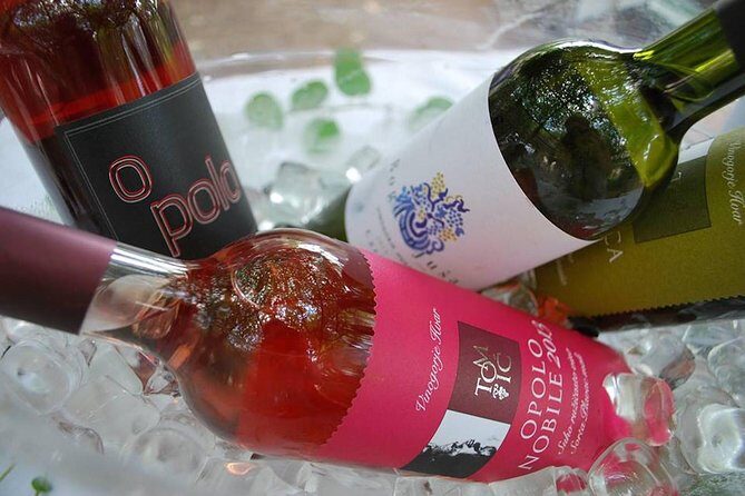The Best of Hvar Small Group with Wine Tasting and Local meal - Wine Tasting at Tomić or Carić: The Part Wine Lovers Wait For