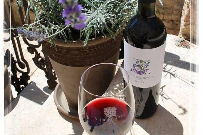 The Best of Hvar Small Group with Wine Tasting and Local meal - Pickup, Timing, and How the Day Actually Starts