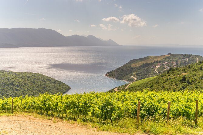 Transfer Split to Dubrovnik with Sightseeing in Ston Town - WiFi, driver, and private timing: why this costs what it costs