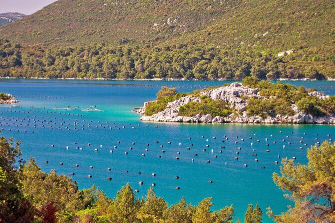 Transfer Split to Dubrovnik with Sightseeing in Ston Town - The 3–5 hour one-way transfer: built for comfort, not chaos
