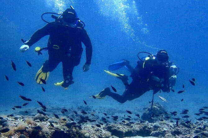 Try Scuba Diving in Split - Key highlights worth knowing